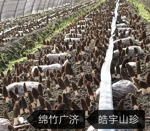 &#20048;&#40060;&#32593;&#39029;&#29256;&#30331;&#24405;&#20837;&#21475;&#45;&#20048;&#40060;&#40;&#20013;&#22269;&#41;
