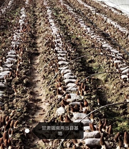 &#20048;&#40060;&#32593;&#39029;&#29256;&#30331;&#24405;&#20837;&#21475;&#45;&#20048;&#40060;&#40;&#20013;&#22269;&#41;
