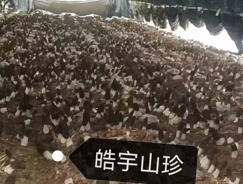 &#20048;&#40060;&#32593;&#39029;&#29256;&#30331;&#24405;&#20837;&#21475;&#45;&#20048;&#40060;&#40;&#20013;&#22269;&#41;