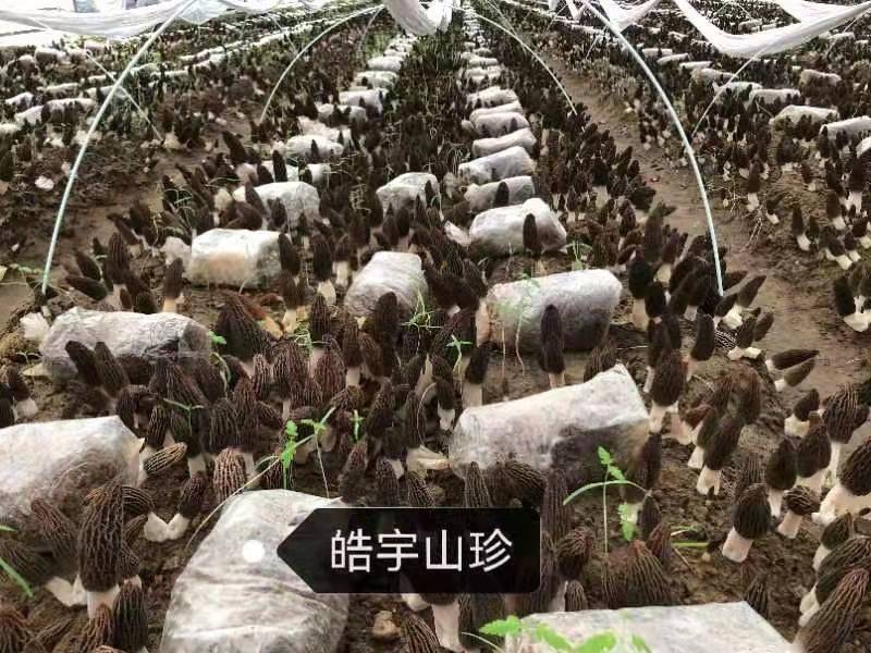 &#20048;&#40060;&#32593;&#39029;&#29256;&#30331;&#24405;&#20837;&#21475;&#45;&#20048;&#40060;&#40;&#20013;&#22269;&#41;