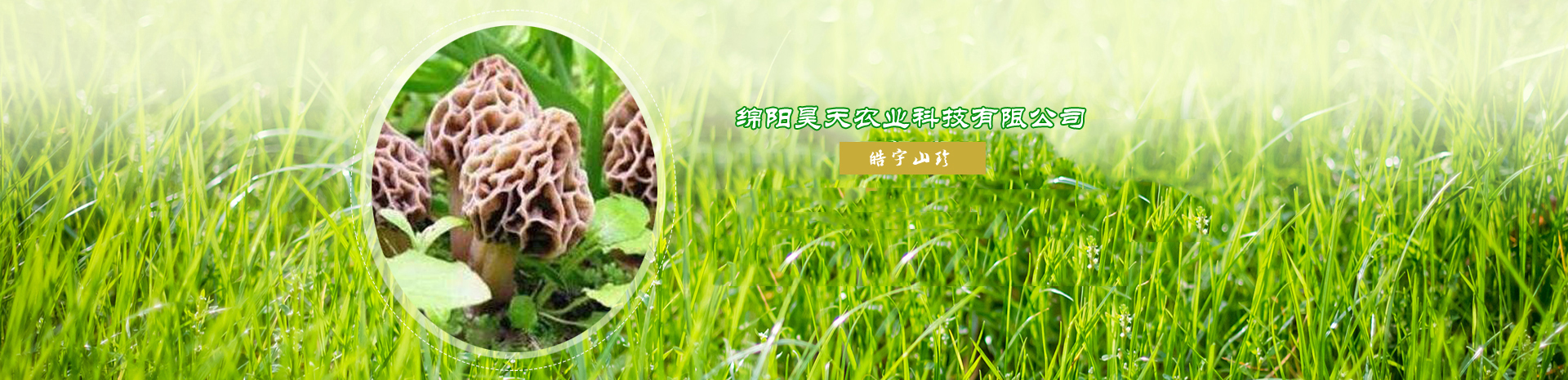 &#20048;&#40060;&#32593;&#39029;&#29256;&#30331;&#24405;&#20837;&#21475;&#45;&#20048;&#40060;&#40;&#20013;&#22269;&#41;