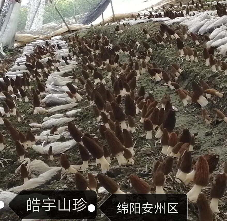 &#20048;&#40060;&#32593;&#39029;&#29256;&#30331;&#24405;&#20837;&#21475;&#45;&#20048;&#40060;&#40;&#20013;&#22269;&#41;
